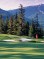 Explore Luxury Golf Resorts in Whistler