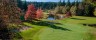 Tee Up Fall Flora & Fauna on and around BC Golf Courses
