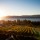 Kelowna