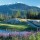 Fairmont Chateau Whistler Golf Club