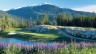 Fairmont Chateau Whistler Golf Club